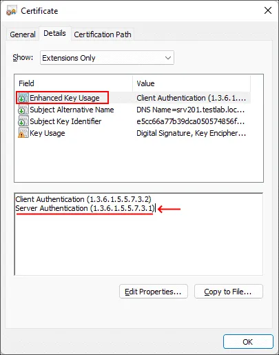 مراحل نصب گواهی TLS روی SQL Server